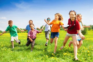 Preglia Summer Lab 2026